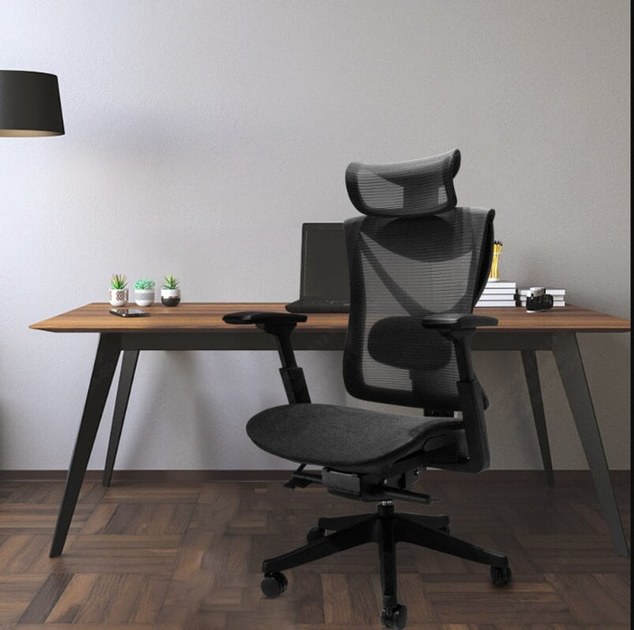 Flexispot A5 - Ergonomic Office Chair